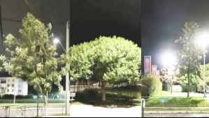 ¿Por qué se sintió un viento cálido el martes en la zona central?