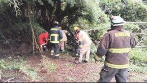 Deslizamiento de tierra provoca la muerte de un hombre y una mujer en camping de Curacautín