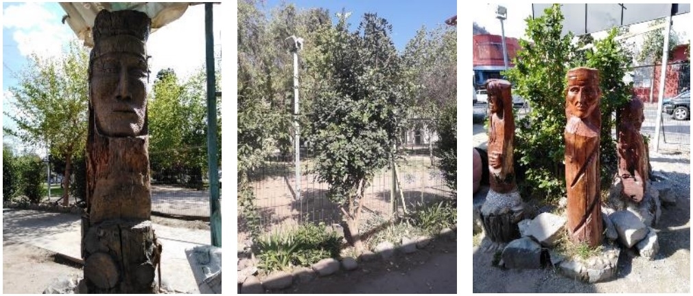 De izquierda a derecha: Pillán, el canelo y los tótems (Metro)