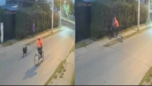 'A una vecina la asaltó tres veces': Sujeto utiliza un perro para atacar a sus víctimas y robarles