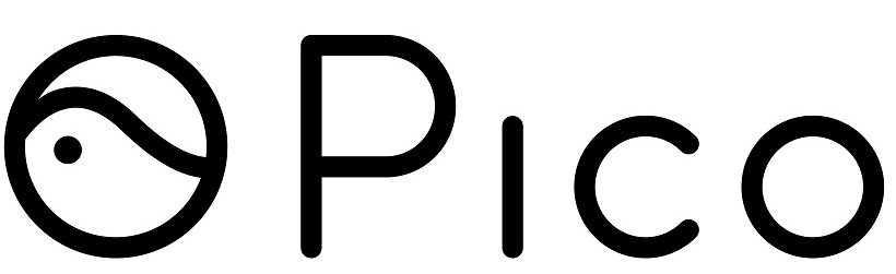 Logo de la empresa china Pico