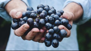 No las peles: Estas son las cuatro frutas y verduras que es mejor comerlas con cáscara