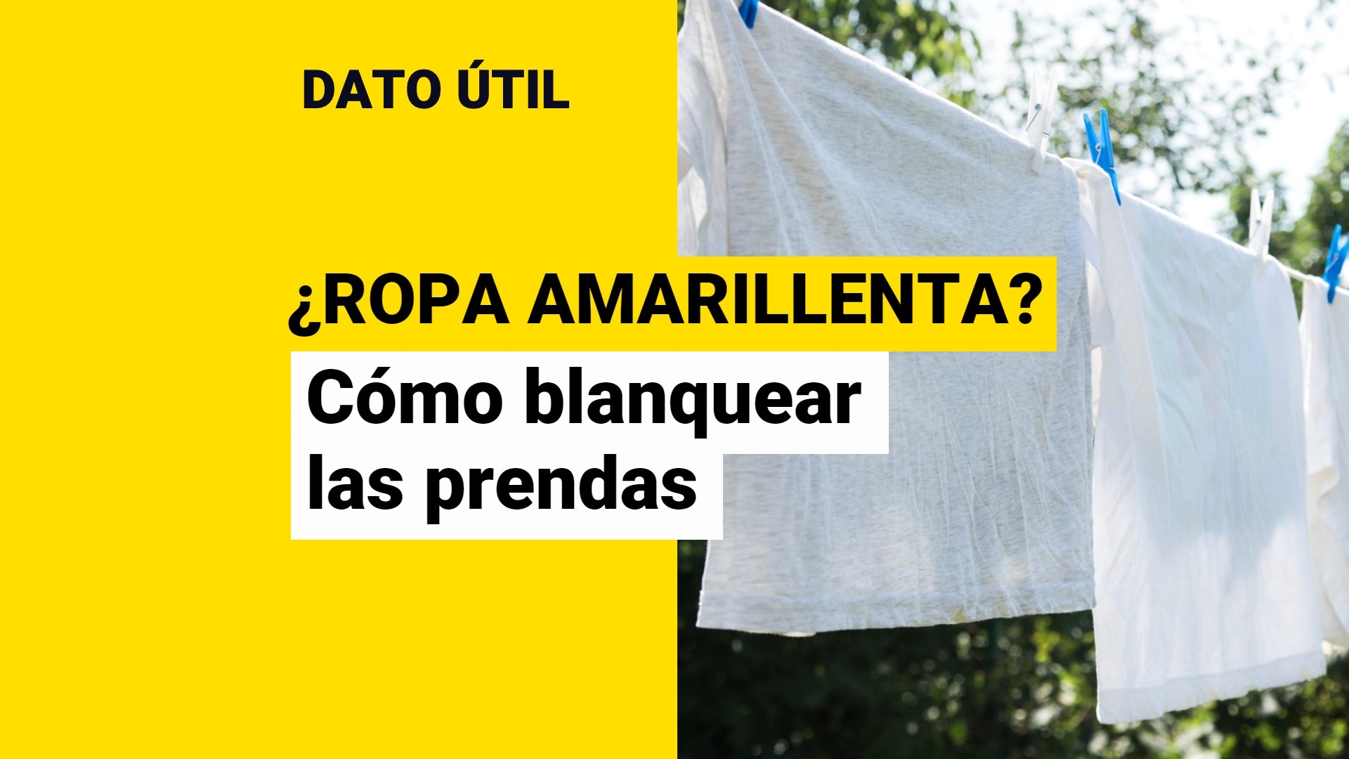 ¿Tu Ropa Blanca Se Puso Amarillenta? 4 Consejos Caseros Para Blanquear ...