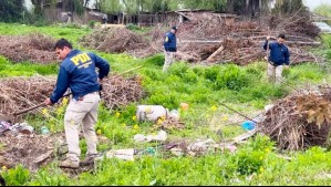 Investigan hallazgo de restos humanos en medio de búsqueda de joven desaparecida en San Vicente de Tagua Tagua