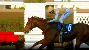 Ejemplar 'Kay Army' se quedó con el Clásico Polla de Potrillos: Carrera se realiza en agosto de cada año desde 1897