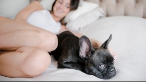 Expertos advierten que no es bueno dormir con mascotas: Estas son las razones