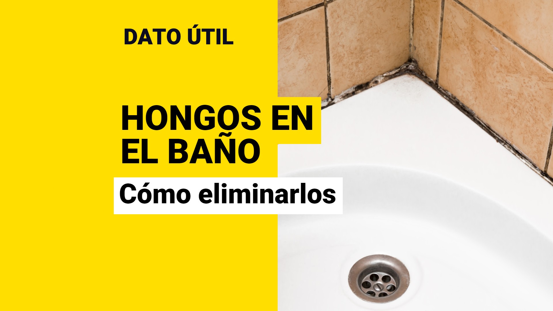 Are there mushrooms in your bathroom?These four tricks can help you