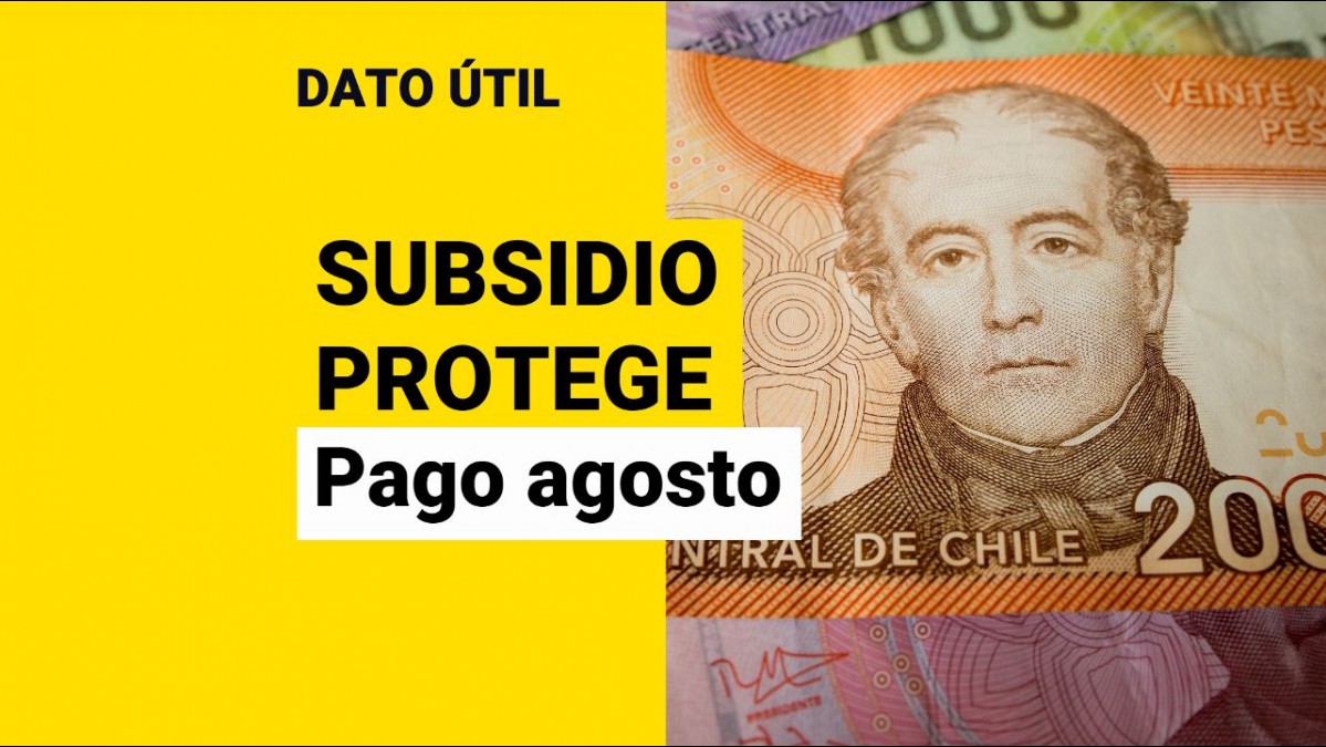 Subsidio Protege Así Puedes Saber Si Te Corresponde El Pago Del Beneficio En Agosto Meganoticias 7084