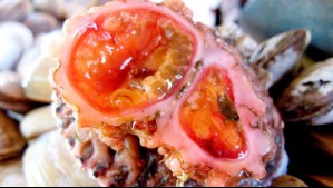 Ingrata sorpresa: BBC de Londres define al piure como el 'feo marisco chileno'