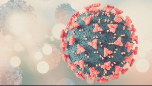 OMS y Estados Unidos vigilan nueva variante del coronavirus que tiene más de 30 mutaciones