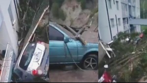 Videos muestran daños provocados por derrumbe de cerro que arrastró a vehículos hasta edificios en Constitución