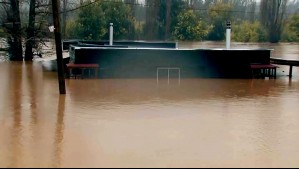 'Todos los animales que habían fallecieron': Casa quedó absolutamente cubierta por el agua tras desborde de río Purapel
