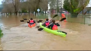 Voluntarios trabajan en rescate en Kayak de perros que se habrían visto afectados por crecida del río Claro en Talca