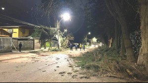 Cortes de luz y caída de árboles en Santiago: Videos muestran fuertes ráfagas de viento en diferentes comunas