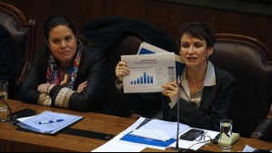 Comisión de la Cámara de Diputados aprueba en general creación del Ministerio de Seguridad Pública