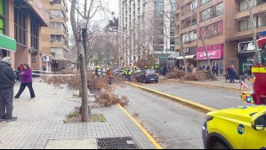 Viento en Santiago: Árbol cae sobre vehículos en Providencia y corta el tránsito
