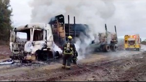 Nuevo ataque incendiario en La Araucanía: Quemaron cuatro camiones en Collipulli