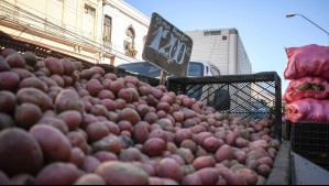 SAGO y Consorcio Papa Chile estima que escasez del vegetal podría seguir hasta diciembre