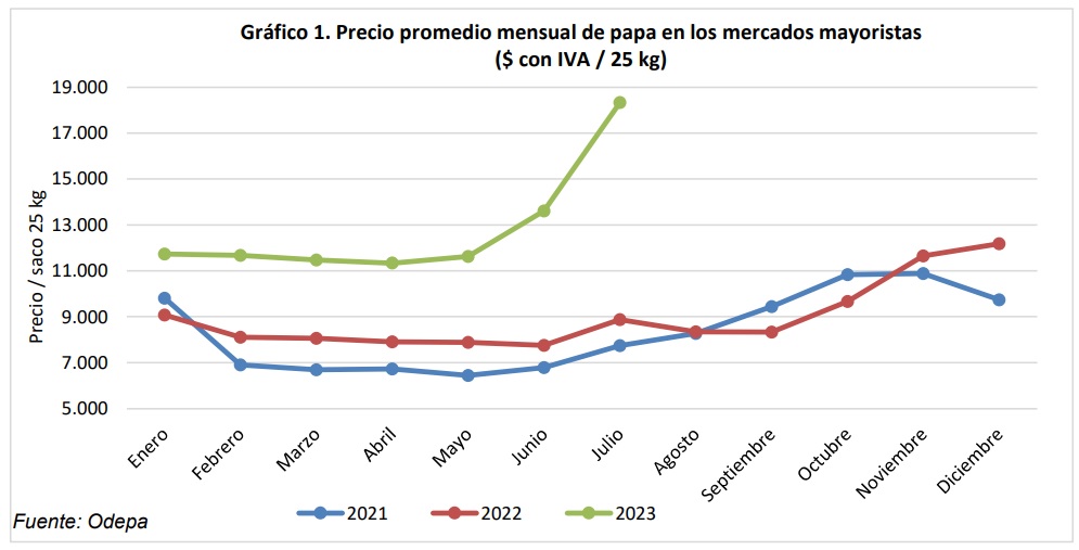 Los precios de la papa en 2023 son más elevados que los de 2021 y 2022 (Odepa)