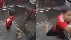 Impactante video muestra a niño salvar la vida de su perrita en ascensor de Brasil