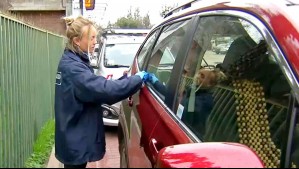 Entra en vigencia ley que obliga a grabar patentes en espejos retrovisores y ventanas de vehículos
