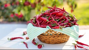 Mujer olió ajíes en conserva y terminó en coma con un edema cerebral