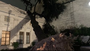 Reportan caída de un árbol sobre edificación contigua al palacio Cousiño en pleno centro de Santiago