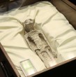 Exhiben cuerpos de seres no humanos en México. Se trata de dos cuerpos de supuestos extraterrestres que tienen tres dedos en cada mano y cabezas alargadas. Revisa los detalles.