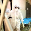 Las autoridades indias anunciaron que intentan contener una epidemia de Nipah, un virus poco común transmitido de animales a humanos. Revisa lo que se sabe de esta enfermedad.