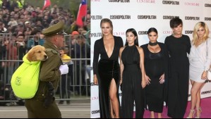 ¿Las Kardashian en la Parada Militar? El curioso detalle de los nombres de los cachorros de Carabineros