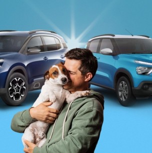 'Pets ride': Citroën lanza servicio de test drive que permite mascotas a bordo