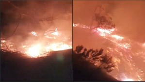 Incendio forestal en Valparaíso afecta zona de pastizales en sector de San José de Casablanca
