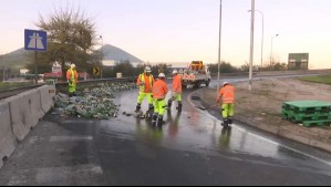 Carga de cervezas cae desde camión en la Ruta 5 y se genera alta congestión vehicular