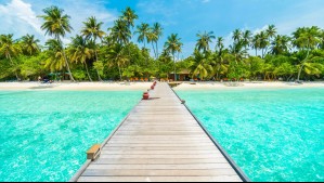 Live Shopping by Mega: Viajes Falabella ofrecerá paquetes con exclusivos descuentos en medio de transmisión en vivo