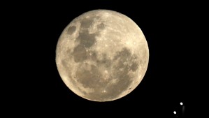 Última Superluna del año: ¿Cuál es la hora exacta en que se observará el fenómeno?