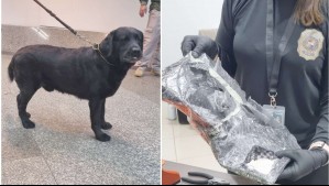 Chilena es detenida en Paraguay luego que un perro detectara la droga que pretendía pasar en el aeropuerto