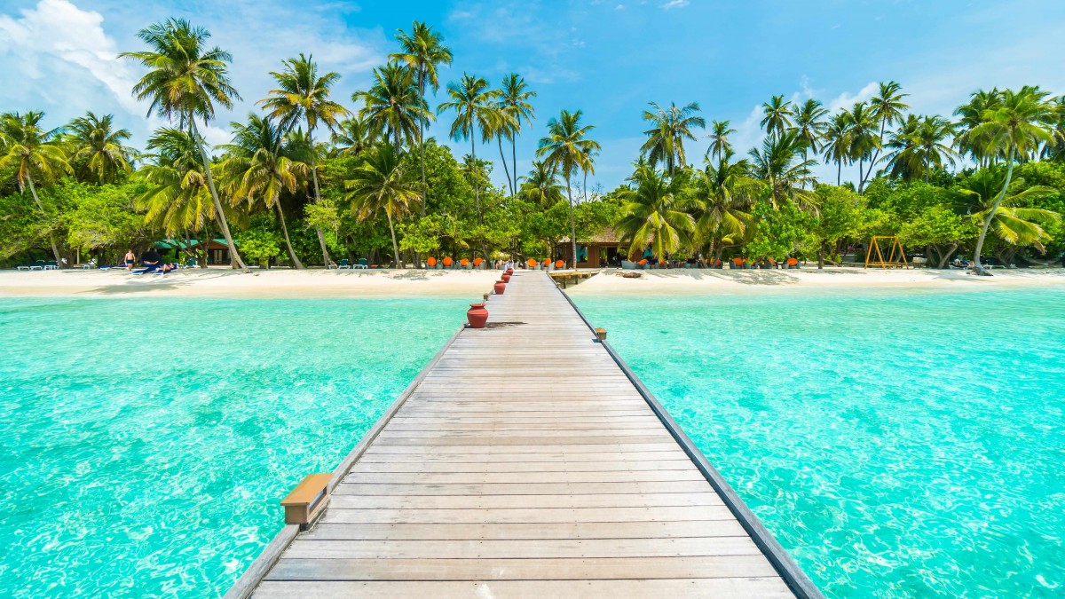 Live Shopping by Mega: Viajes Falabella ofrecerá promociones exclusivas durante evento digital en vivo