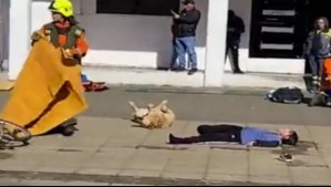 ¡El mejor actor! Perrito causa furor por hacerse el muerto durante un simulacro en Puerto Montt