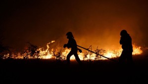 Emiten Alerta Amarilla por incendio forestal en Freirina: Llamas amenazan a sectores poblados