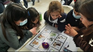 Día del profesor: Conoce los avances que ha experimentado la docencia en los últimos años