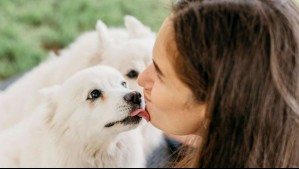 ¿Sueles besar a tus mascotas? Estas son las razones por las que deberías dejar de hacerlo