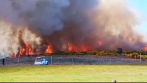 Alerta Roja por incendio forestal en Castro: Fuego amenaza sectores poblados