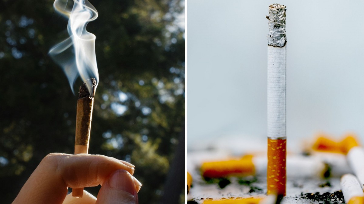 ¿El humo de la marihuana es tan peligroso para la salud como el del