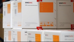 Gobierno anuncia que Sinovac no instalará una planta de vacunas en Antofagasta y que optaría por Colombia