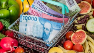 El 21,2% del dinero es para alimentación: INE revela que hogares gastan más de $1,4 millones en promedio al mes