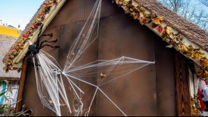 ¿Por qué no debería usar telas de araña falsas para decorar en Halloween?