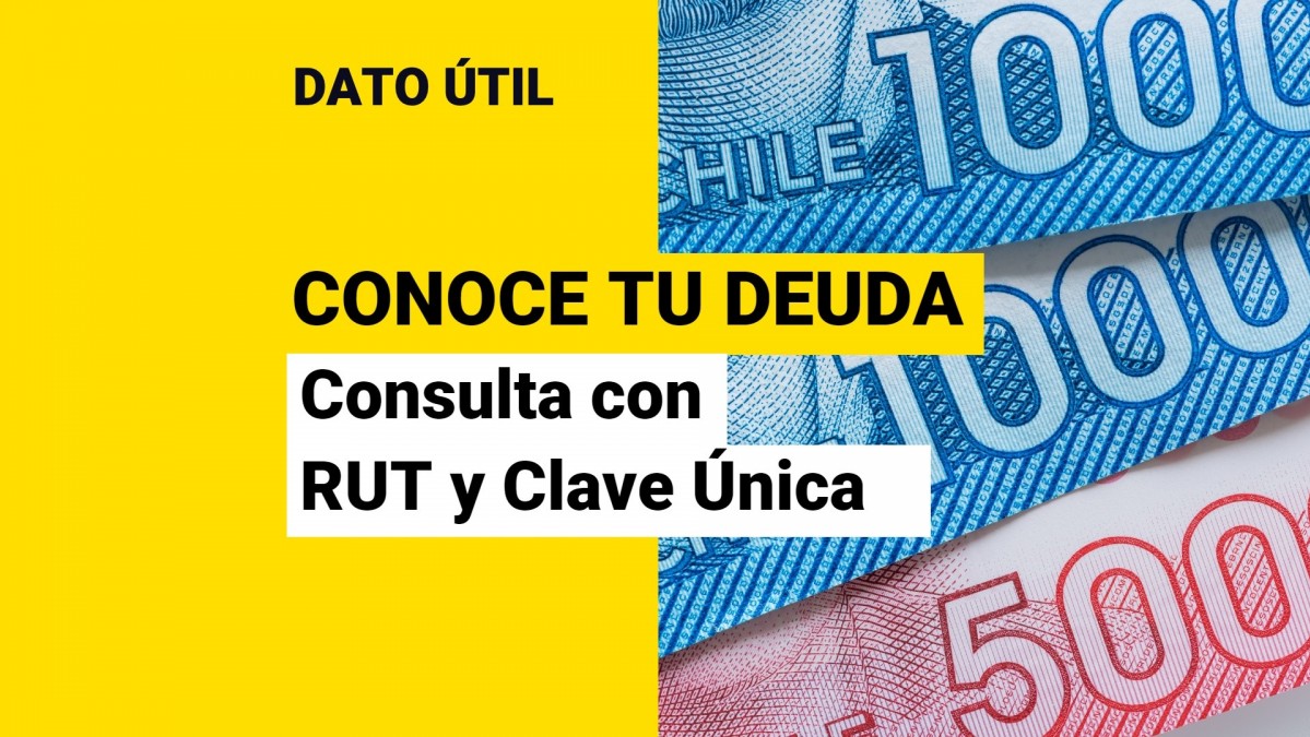 Conoce tu deuda Así puedes saber con RUT y Clave Única cuánto debes en