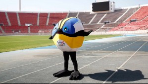 Locura por Fiu: Atleta brasileño gastó $500.000 en figuras de la mascota de Santiago 2023