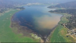 El renacer de la laguna de Aculeo: Fauna regresó tras 5 años de estar completamente seca