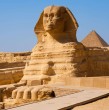 Un estudio científico de la Universidad de Nueva York asegura que la Gran Esfinge de Giza en Egipto no fue construida solamente por humanos, sino que estos habrían recibido una inusual ayuda.